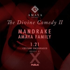 Amaya Society: MANDRAKE